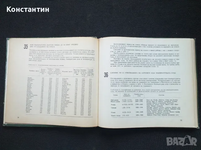 288 съвета за любителя овощар, снимка 2 - Специализирана литература - 50051081