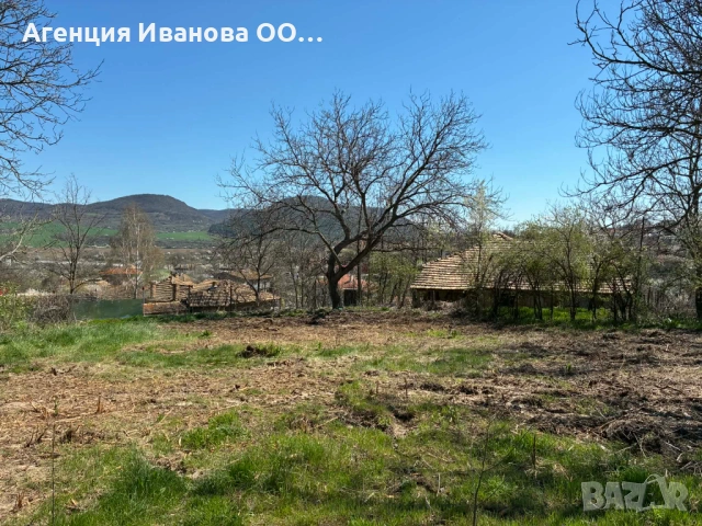 Парцел с къща в гр. Опака – 1590 кв.м с отлична локация и потенциал, снимка 3 - Къщи - 54131995