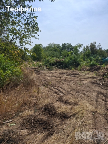 Имот с. Майор ценивич, снимка 4 - Къщи - 51625670