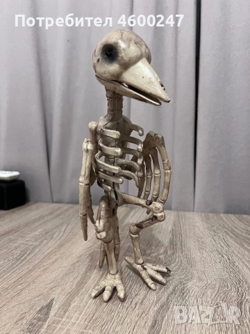 Различни Хелоуин декорации, снимка 3 - Други - 54230374