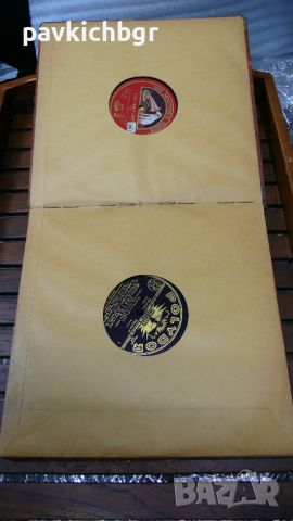 Колекционерски албум с плочи , снимка 2 - Колекции - 46218269