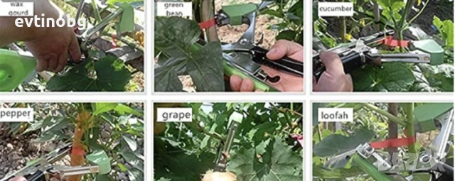 Градински инструмент за връзване на стебла, клони и други, снимка 4 - Разсади - 53810966