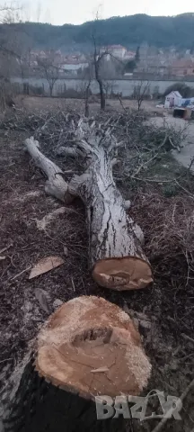 Орех за материал , снимка 1