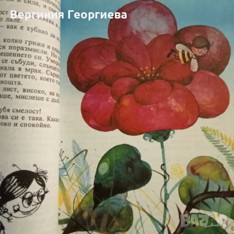 Приключенията на пчеличката Мая , снимка 2 - Детски книжки - 46488100