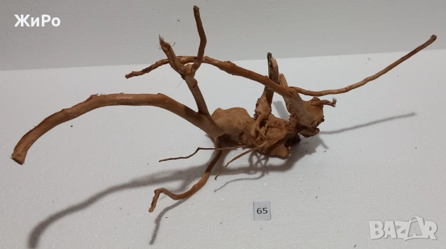 Корен от Азалия /декорация/ 65