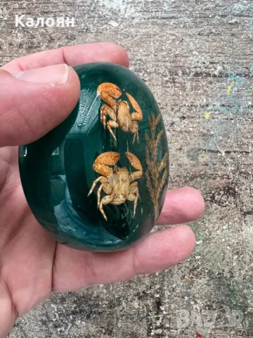 Тежест за притискане на хартия с декорация рачета и водорасло в смола, снимка 2 - Декорация за дома - 49977084