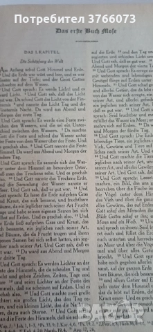 ,,Die Bibel " Мартин Лутер, снимка 3 - Антикварни и старинни предмети - 54233221