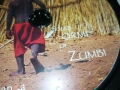 ZUMBI CD 2810252216, снимка 13