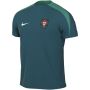 Мъжка Тениска Nike Dri-FIT Portugal Strike FJ2923-381, снимка 1 - Тениски - 45991416