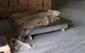 Трасажна маса проверочна  клас 1, снимка 3