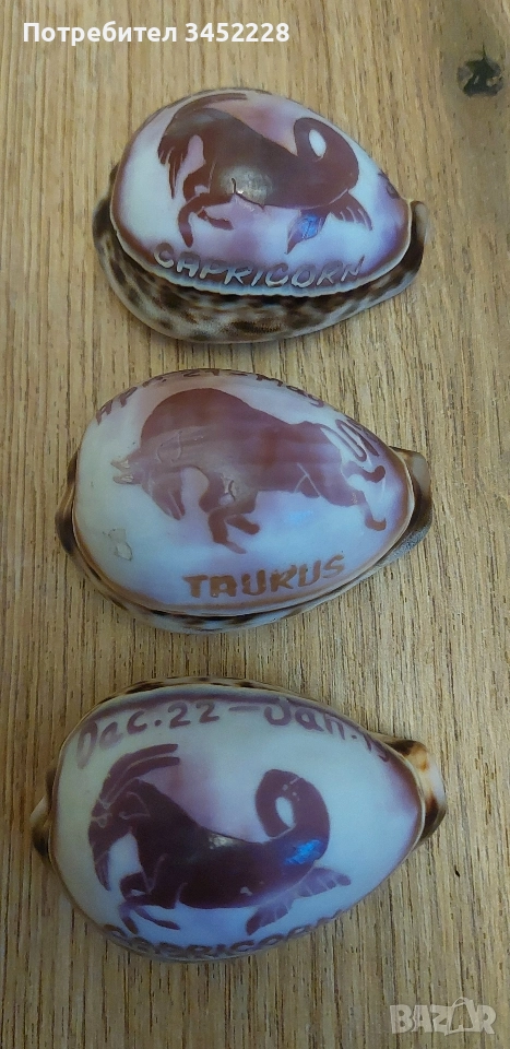 раковини гравирани три броя за ценители , снимка 1