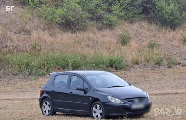 Пежо 307 2.0 HDI. 110 коня , снимка 2 - Автомобили и джипове - 52963862