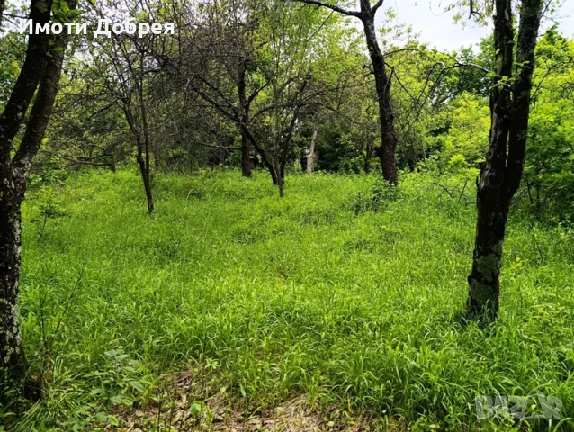 Имот в гр. Троян - спокоен квартал, снимка 4 - Парцели - 50514113