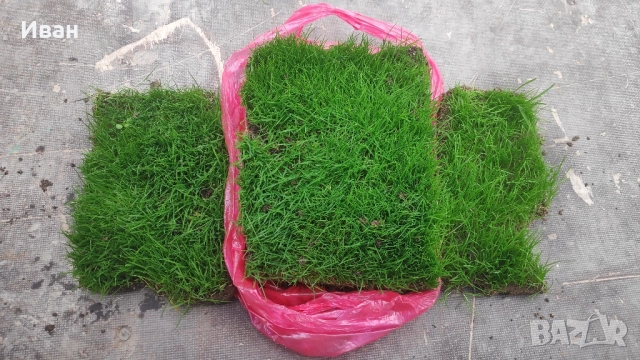 чим от бившия стадион на ЦСКА Българска Армия