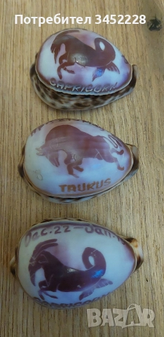 раковини гравирани три броя за ценители 