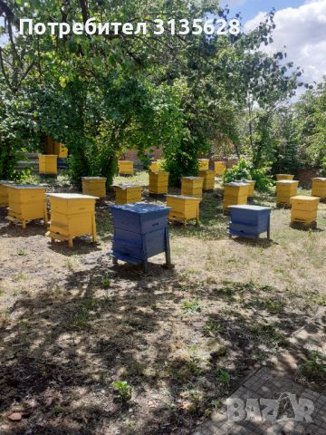 Продавам кошери с пчели , снимка 1 - За пчели - 46239406