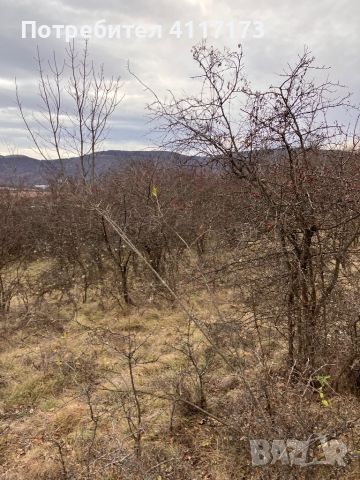 Урегулиран поземлен имот в село Славейково, Дряново , област Габрово , снимка 12 - Парцели - 46020552