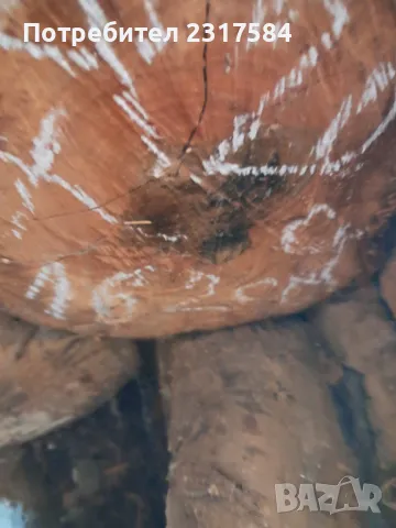 Продавам трупи и дънери от орех., снимка 7 - Строителни материали - 27503658