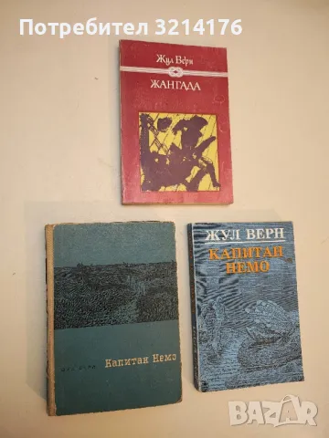 Чичо Томовата колиба - Хариет Бичер Стоу, снимка 10 - Художествена литература - 50109068