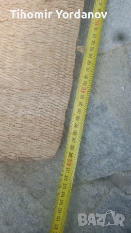 Рогозка.( царевична шума)., снимка 2 - Антикварни и старинни предмети - 50785820