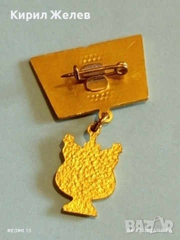 Рядка значка 30г. Ансамбъл РАЛЧО САПУНДЖИЕВ Панагюрище за КОЛЕКЦИЯ 52122, снимка 5 - Колекции - 53378914