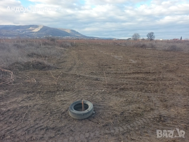 Парцел ( земеделска земя , лозе ) , снимка 3 - Земеделска земя - 36522321