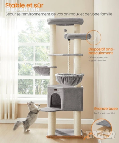 Голямо котешко дърво Мейн Куун , снимка 3 - За котки - 53222408