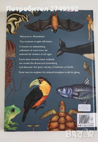 Animalium - Джени Брум, снимка 2 - Енциклопедии, справочници - 46891319