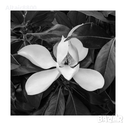 Nikon 24-70mm f/2.8G ED Nikkor обектив Никон, снимка 11 - Обективи и филтри - 52799554