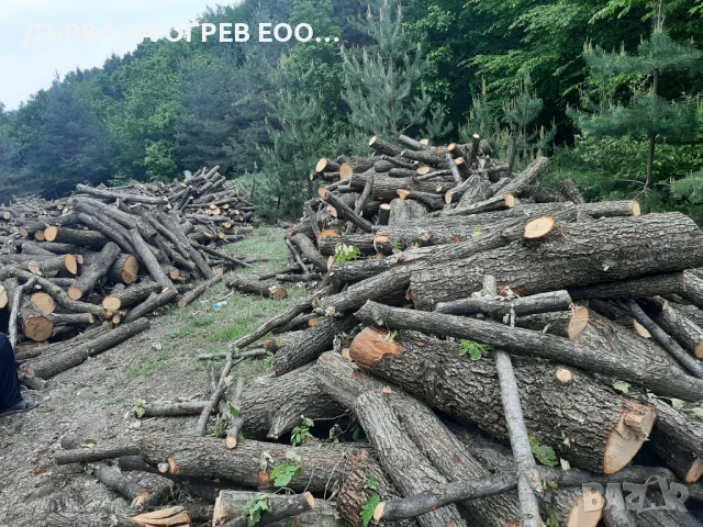 предлагам дърва за огрев метровки дъб доставям до адрес , снимка 2 - Дърва за огрев - 50711791