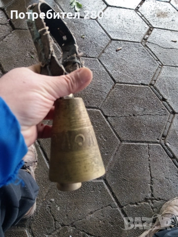 Стар чан 10см.