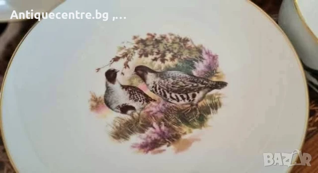 Kuba Porzellan Bavaria ,Germany - Сервиз за хранене с ловни мотиви., снимка 2 - Сервизи - 50940603