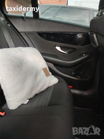 Mercedes benz c220 bluetec , снимка 5 - Автомобили и джипове - 53393033