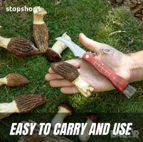 Нож за гъби DEPOX®, неръждаема стомана, с четка, дървена дръжка, 21 см, кафяв, снимка 3 - Прибори за хранене, готвене и сервиране - 53875986