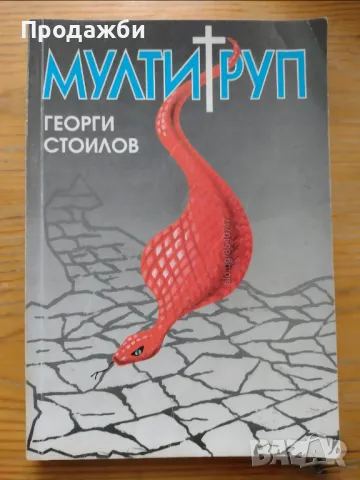 Книга ”Мултигруп”- Георги Стоилов, снимка 1 - Българска литература - 48925999