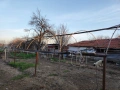 Продавам оранжерия, снимка 2