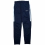 Мъжко долнище Nike Academy | L размер, снимка 1