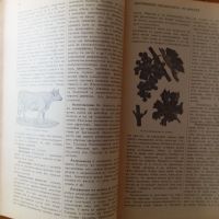 Земеделска енциклопедия , снимка 2 - Антикварни и старинни предмети - 45467450