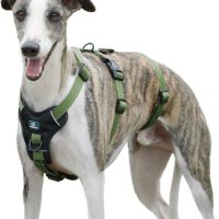 Paworld Escape регулируем нагръдник за големи кучета (розово червено, зелено сиво XL), снимка 2 - Печки, фурни - 44913155