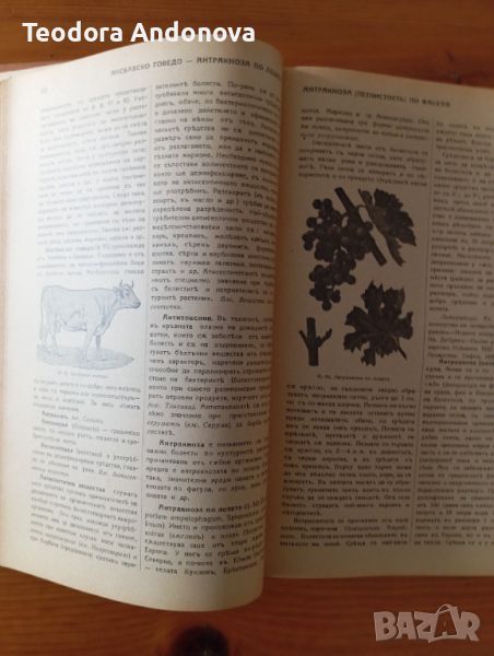 Земеделска енциклопедия , снимка 1