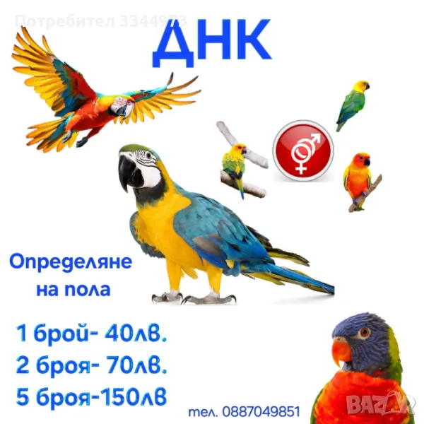 ДНК ОПРЕДЕЛЯНЕ НА ПОЛА , снимка 1