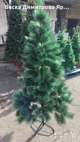 голяма коледна елха, снимка 1