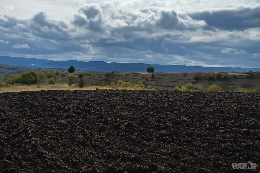 50 ДЕКАРА ЗЕМЕДЕЛСКА ЗЕМЯ област Варна, общ. Дългопол - 100 ЛВ/рента - Авансово Платена, снимка 1
