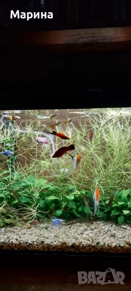 Продавам голям аквариум, снимка 1
