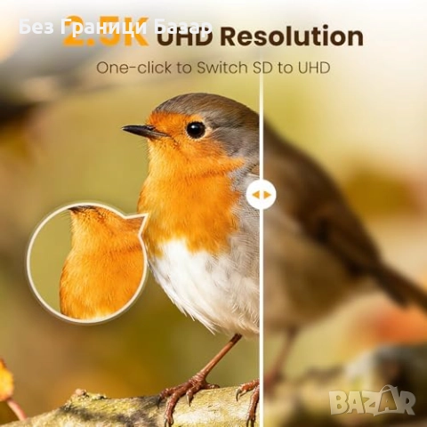 Нова соларна Смарт хранилка за птици с 2.5K камера и AI разпознаване, снимка 3 - Други стоки за дома - 52655380