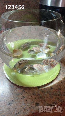 Стъклена купа за аквариум или декорация, снимка 3 - Аквариуми - 45477851