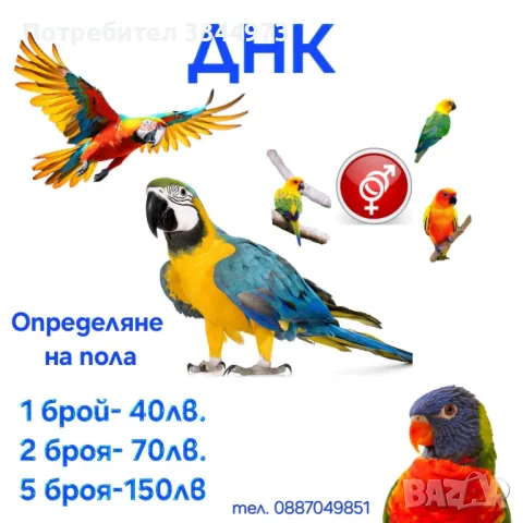 ДНК ОПРЕДЕЛЯНЕ НА ПОЛА , снимка 1