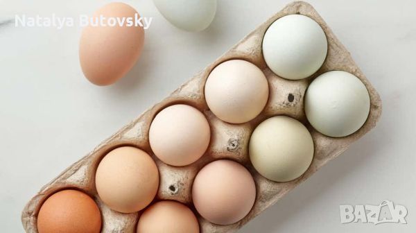 Яйца за консумация,  оплодени яйца от кокошки, лебедови гъски , снимка 2 - Кокошки и пуйки - 45762299