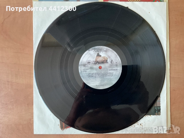 Грамофонна плоча 12”, снимка 6 - Грамофонни плочи - 51475162