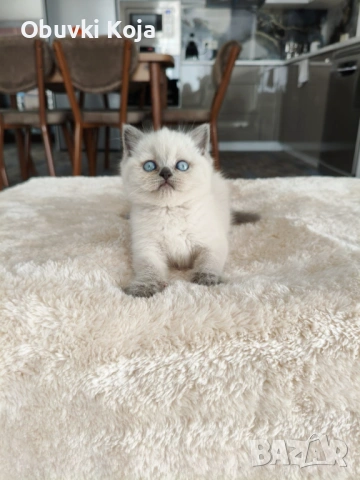 Уникален подарък за вашите любими 